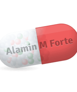 Alamin M Forte